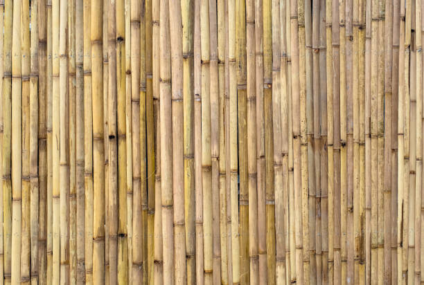 istock brown tone bamboo plank fence texture for background 1151546206