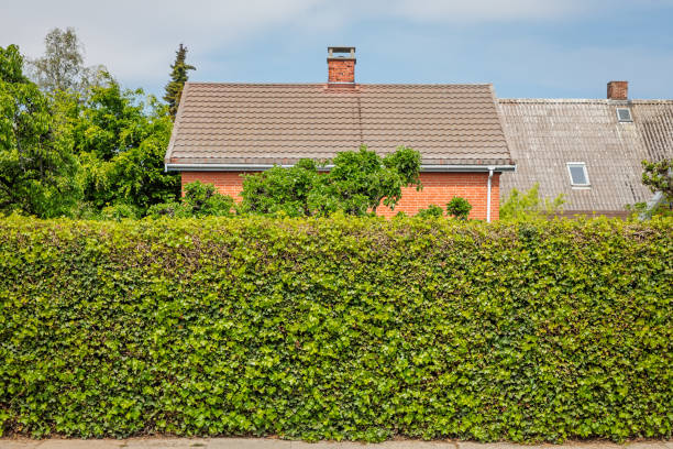 типичный датский пригородный дом - denmark house villa detached house стоковые фото и изображения