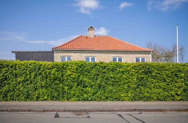 типичный датский пригородный дом - denmark house villa detached house стоковые фото и изображения