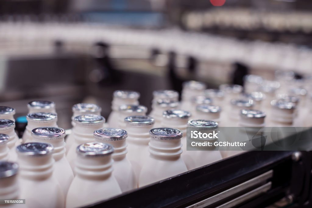 Fresh Milk Bottles Moving on the Conveyor Belt at a Dairy Plant in Africa Africa, Industry, Business, Factory, Automatic - Freshly filled Milk Bottles Moving on the Conveyor Belt to the Packaging Area Dairy Farm Stock Photo