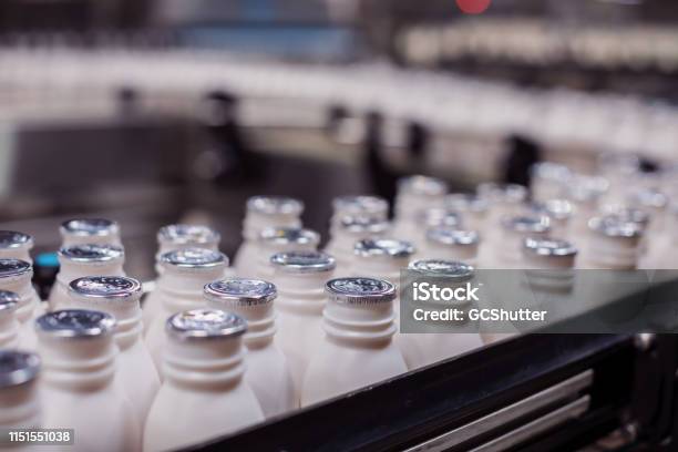 Fresh Milk Bottles Moving On The Conveyor Belt At A Dairy Plant In Africa Stock Photo - Download Image Now