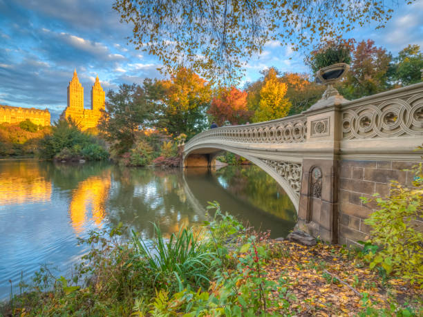 istock Bow bridge,Central Park, New York Cit 1151556881