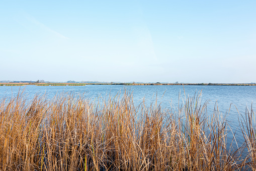 View at the nature reserve Sondeler Leijen in Friesland in The Netherlands.