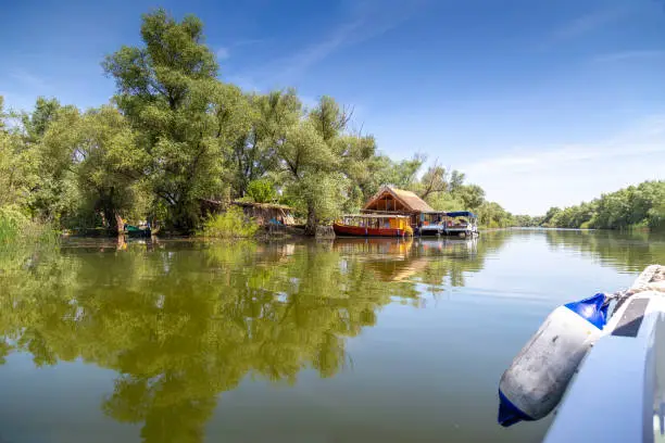 Photo of Traveling by boat through the Danube Delta