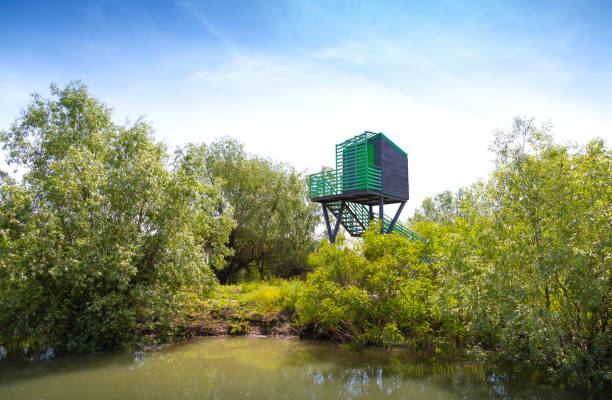 Birdwatching hideout for birds in the Danube Delta , Romania