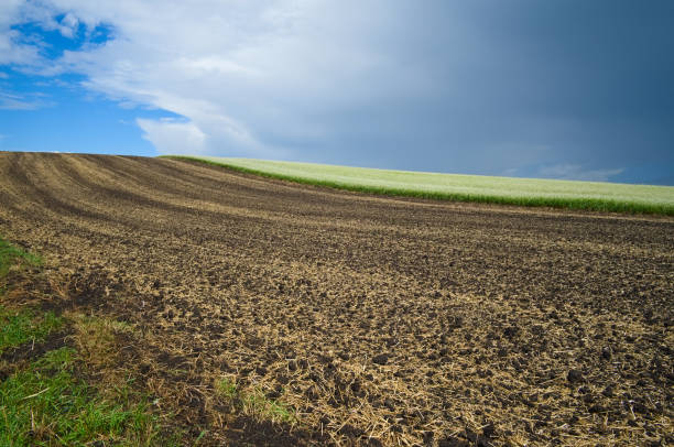 istock Horizon over striped agriculture field 1151562342