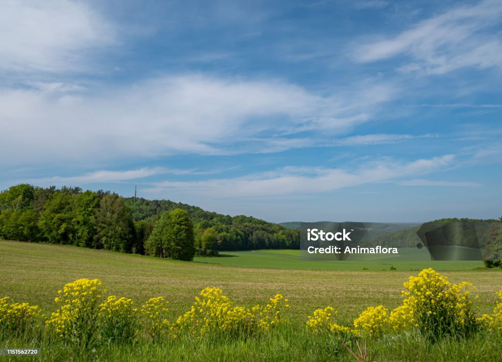 View of Franconian Switzerland in spring Franconian Switzerland Stock Photo