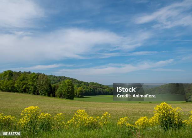 View Of Franconian Switzerland In Spring Stock Photo - Download Image Now - Franconian Switzerland, Agricultural Field, Agriculture