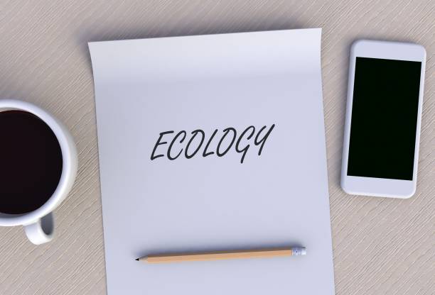 istock ECOLOGY, message on paper, smart phone and coffee on table, 3D rendering 1151564669