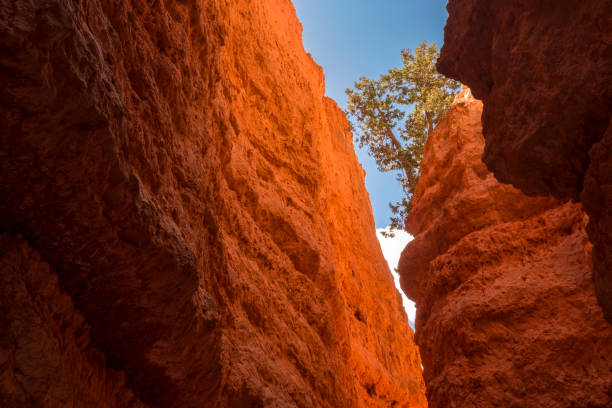 istock landscape navajo loop trail bryce canyon 1151566732