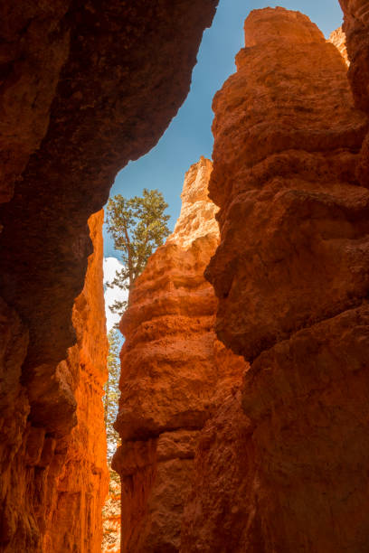 istock landscape navajo loop trail bryce canyon 1151566757