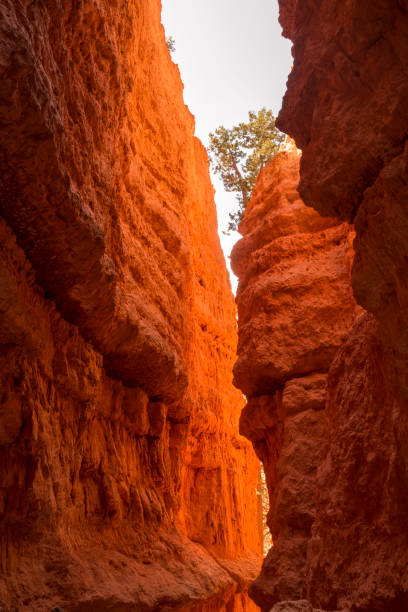 istock landscape navajo loop trail bryce canyon 1151566776