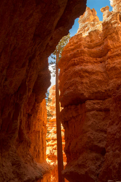 istock landscape navajo loop trail bryce canyon 1151566791