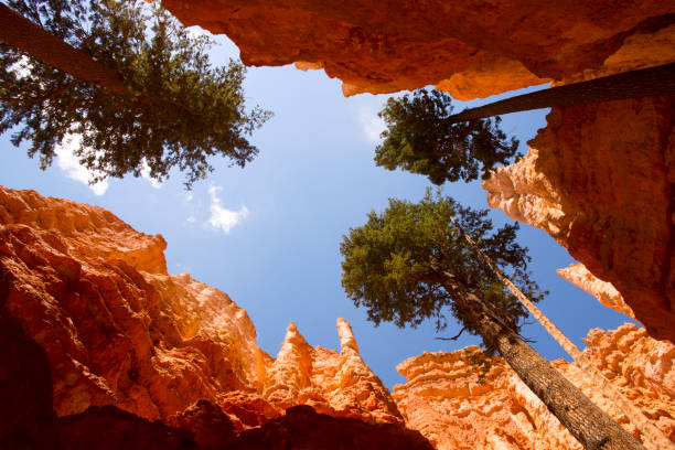 istock landscape navajo loop trail bryce canyon 1151566794