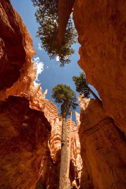 istock landscape navajo loop trail bryce canyon 1151566816