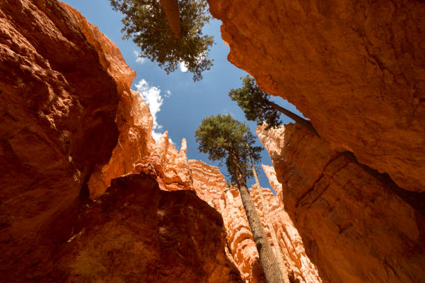 istock landscape navajo loop trail bryce canyon 1151566819