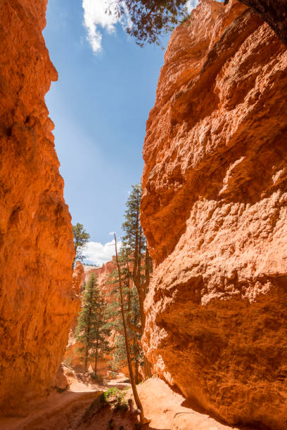 istock landscape navajo loop trail bryce canyon 1151566823