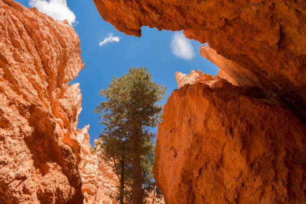 istock landscape navajo loop trail bryce canyon 1151566834
