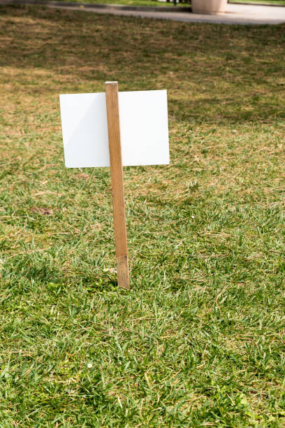 istock BackCartel in the meadow 1151568467