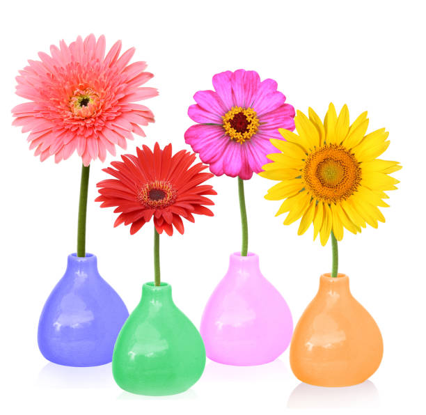 istock Colorful spring flowers in vases isolated 1151569854