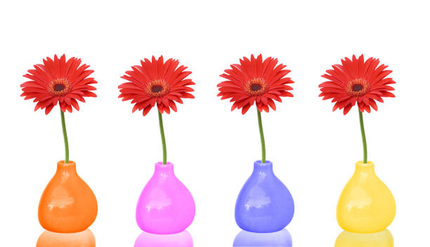 istock Red gerbera flowers in Colorful  vases  isolated on white 1151569927
