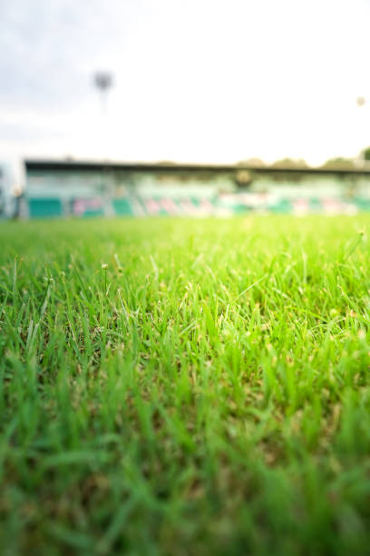 istock Green grass sport track 1151572322