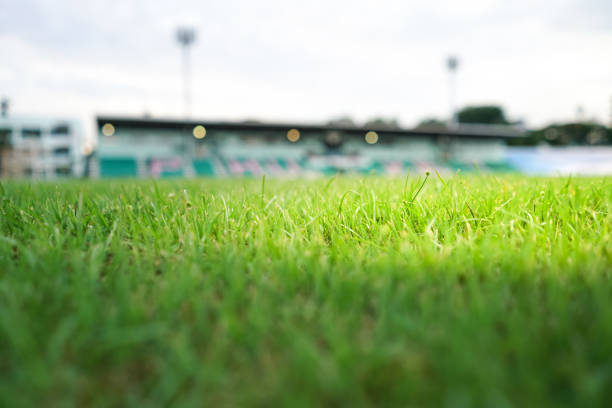 istock Green grass sport track 1151572331