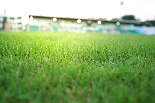 istock Green grass sport track 1151572852