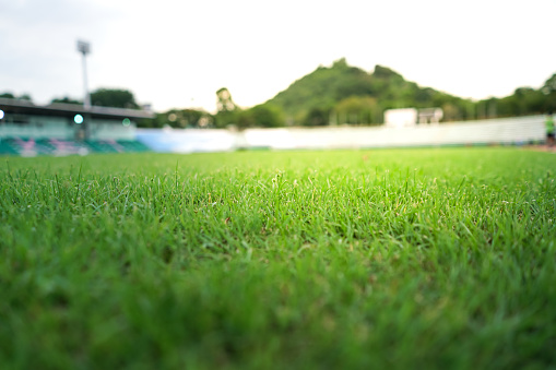 Green grass sport track