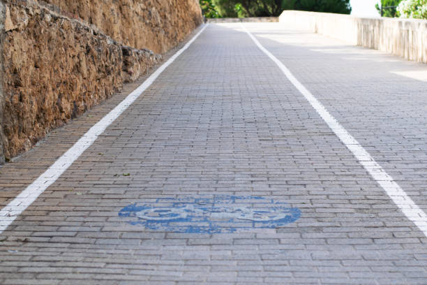 istock Bicycle lane in Valencia, Spain. Turia Gardens. 1151574611