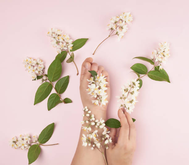 istock female hands and pink small white flowers on a pink background 1151574773