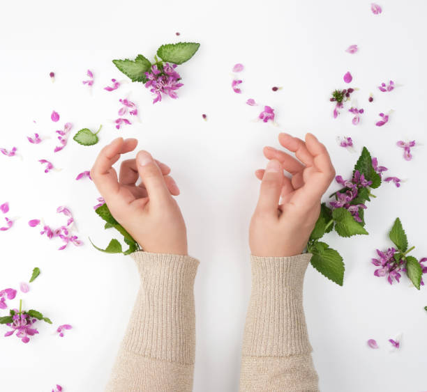 istock female hands and pink small flowers 1151575551