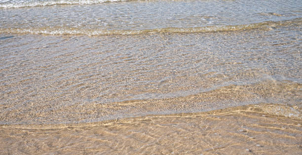 istock Summer beach with sea view and sands from tropical beach with sunny sky 1151578872