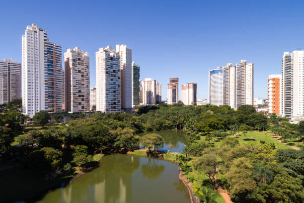 Skyline of Goiânia (GO), showing Flamboyant park High angle view of Goiânia (GO), showing Flamboyant park goias photos stock pictures, royalty-free photos & images
