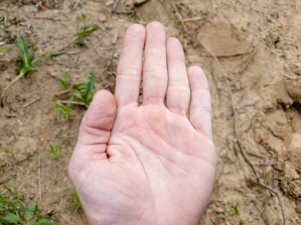 istock The man opens his hand. Palm and fingers. 1151579084