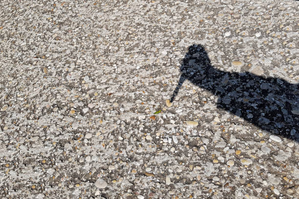 istock Shadow. Hand with a knife. On a gray background 1151579150