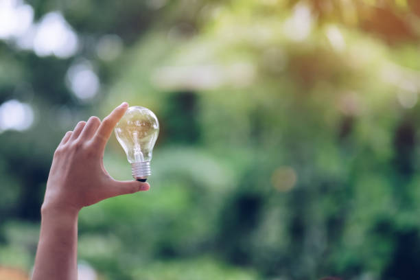 istock Hand holding light bulb with green background. New Idea, Creative, Genius, Innovation and solar energy concepts 1151587017