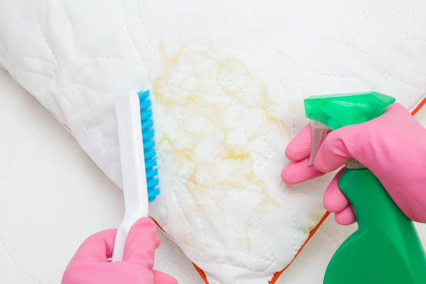 Dry cleaner's employee hands in rubber protective gloves holding spray bottle and brush. Removing saliva stain from white pillow. General or regular cleanup. Commercial cleaning company. Close up. stock photo