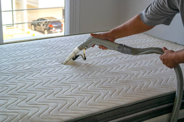 czyszczenie materaca. - mattress cleaning vacuum cleaner housework zdjęcia i obrazy z banku zdjęć