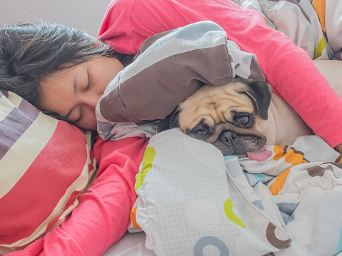 Asian Woman and her cute puppy pug dog sleep in the bed