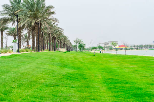 istock public parks in beautiful cities and greenery 1151597668