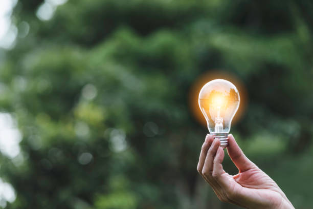istock hand holding bulb in nature on green background. 1151597952