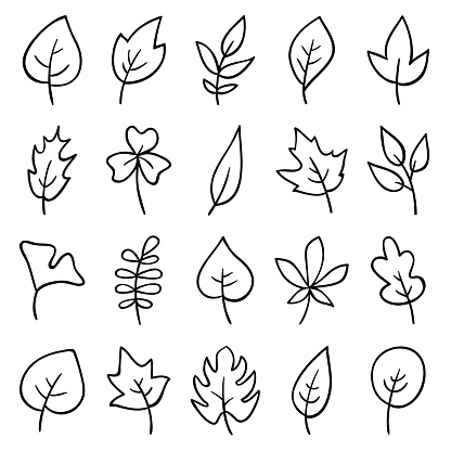 Set of hand drawn leaves. Doodle design elements.