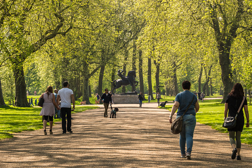Beautiful park setting with trees lining a pathway and a statue of a man and a horse in the distance.