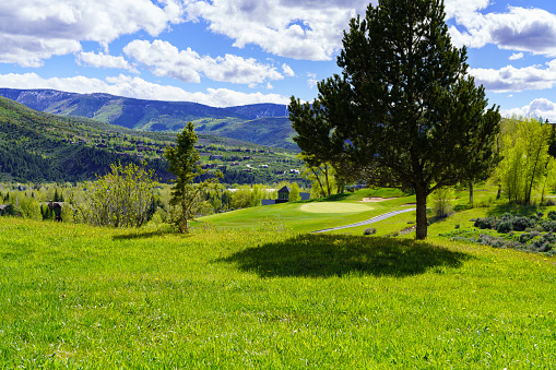 Back Yard Green Grass with Scenic Mountain View - Summer views looking across valley with lush green golf course and neighborhood views.