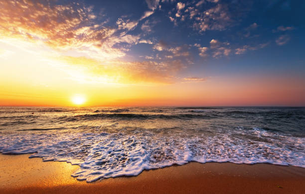 istock Beautiful golden sunset over the beach. 1151602810