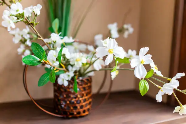 White cherry blossom flower ikebana in Japan decoration closeup on table in traditional house home or ryokan