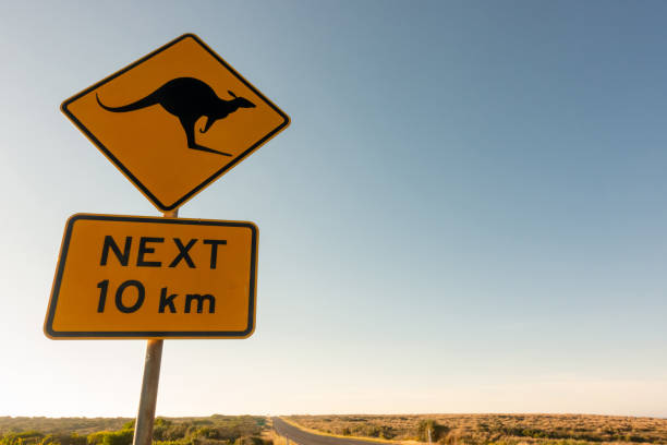 istock kangaroo crossing road sign warning drivers in  Australia 1151603056