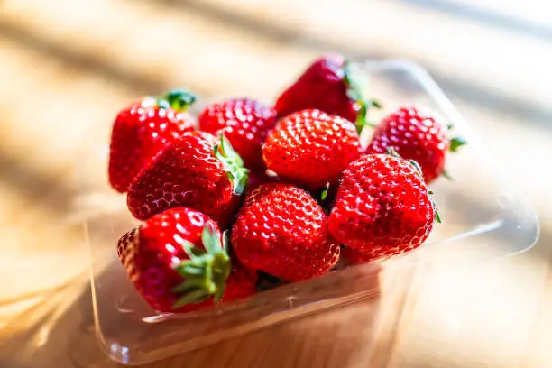 Photo of Traditional Japanese dessert packaged box of plump expensive strawberries on wood table in sunlight macro closeup