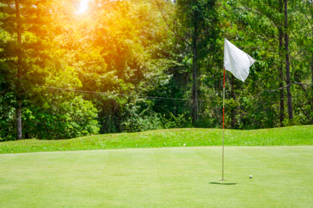 Flag ploe and white flage in hole on green grass golf course on hills stock photo